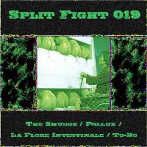 The Smudge / Pollux / La Flore Intestinale / To-Bo - Split Fight 019 mp3