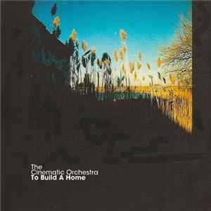 The Cinematic Orchestra - To Build A Home mp3