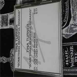 Tina Turner - Something Beautiful Remains (Remixes) mp3