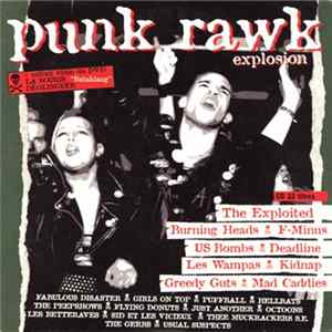 Various - Punk Rawk Explosion #11 mp3