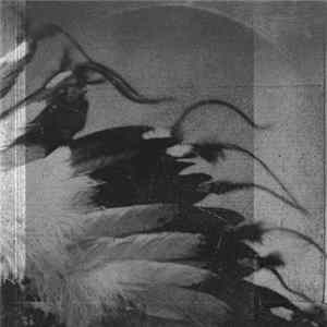 Caleb R.K. Williams - Wild Works Volume 1 mp3