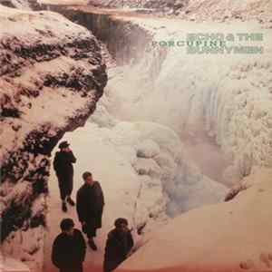 Echo & The Bunnymen - Porcupine mp3