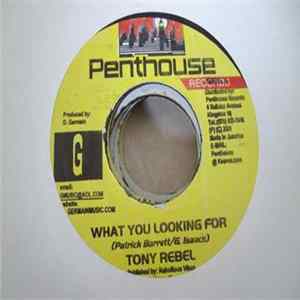 Tony Rebel - What You Looking For mp3