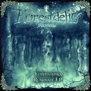 Yudhisthira - Ruminate EP mp3