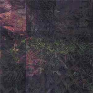 Sean McDonald - More Tales Of mp3