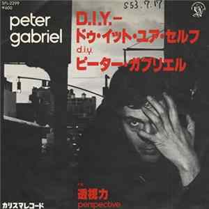 Peter Gabriel - D.I.Y. mp3
