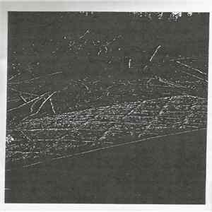 Gratified - Virgin Woods mp3