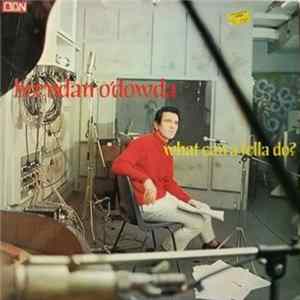 Brendan O'Dowda - What Can A Fella Do? mp3