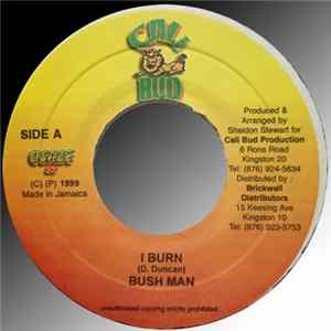 Bush Man - I Burn mp3