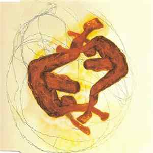 The Divine Comedy - Perfect Lovesong mp3
