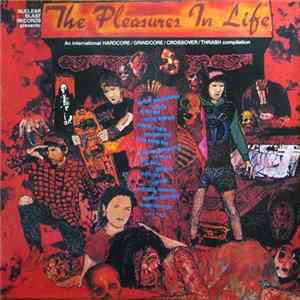 Various - The Pleasures In Life mp3