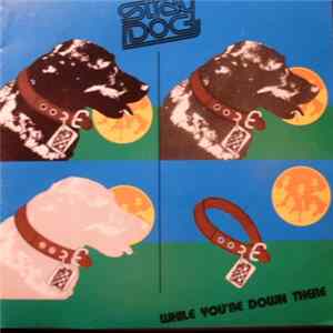 Stray Dog - While You're Down There mp3