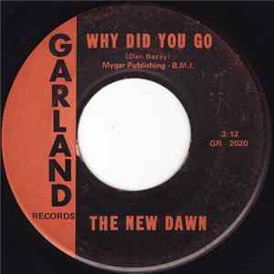 The New Dawn - Why Did You Go mp3