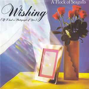 A Flock Of Seagulls - Wishing (If I Had A Photograph Of You) mp3