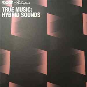 Various - True Music: Hybrid Sounds mp3