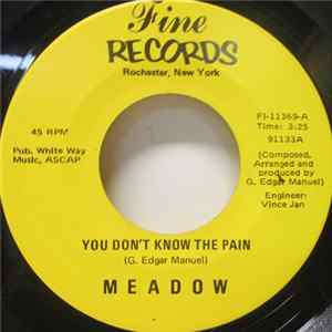 Meadow - You Don't Know The Pain mp3