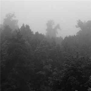 Twilight Fauna - EP mp3