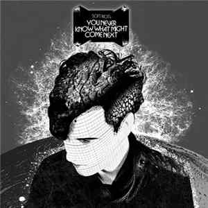 Soft Riot - You Never Know What Might Come Next mp3