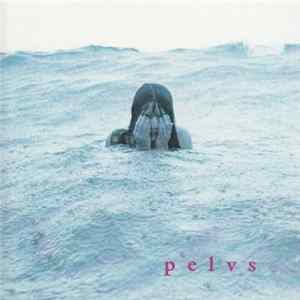 Pelvs - Members To Sunna mp3