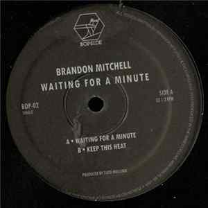 Brandon Mitchell - Waiting For A Minute mp3