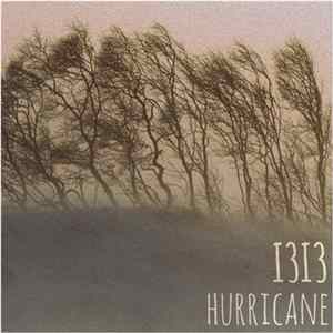 i3i3 - Hurricane (selected tracks 2008) mp3