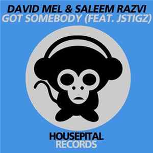 David Mel & Saleem Razvi Feat. JStigz - Got Somebody mp3