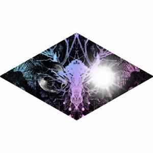 Moon & Sun - The Wild Things Remixed mp3