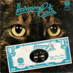 Harmony Cats - Tem Dinheiro Nisso mp3