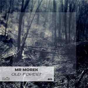 Mr Morek - Old Forest mp3