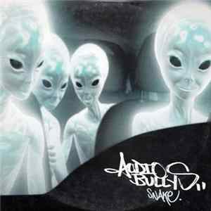 Audio Bullys - Snake mp3