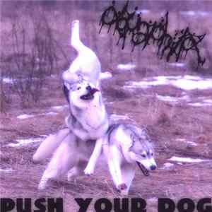 Aquaphilia - Push Your Dog! EP mp3