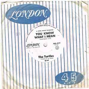 The Turtles - You Know What I Mean mp3