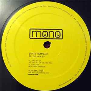 Bunte Bummler - In The Now EP mp3