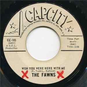 The Fawns - Wish You Were Here With Me / Nothing But Love Can Save Me mp3