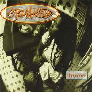 Spearhead - Home mp3