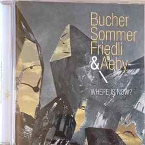 BucherSommerFriedli & Aeby - Where Is Now mp3