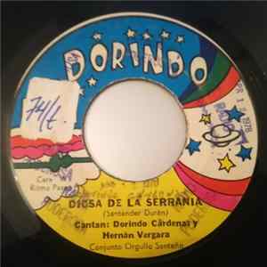 Dorindo Cárdenas Y Hernán Vergara, Conjunto Orgullo Santeño - Diosa De La Serrania / Perdi Tu Amor mp3