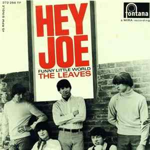 The Leaves - Hey Joe mp3