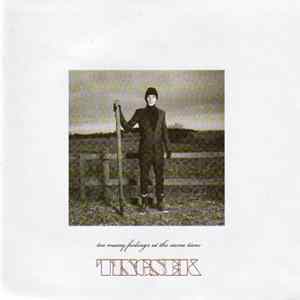 Tingsek - Too Many Feelings At The Same Time mp3