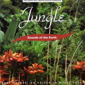 David Sun - Jungle mp3