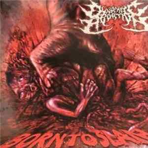 Dynamite Abortion - Born To Slam mp3