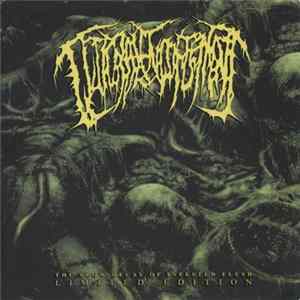 Guttural Engorgement - The Slow Decay Of Infested Flesh mp3