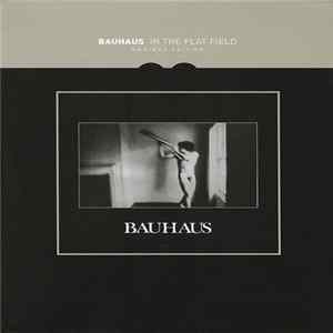 Bauhaus - In The Flat Field mp3