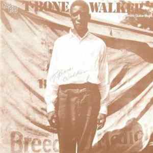 T-Bone Walker - The Inventor Of The Electric Guitar Blues mp3