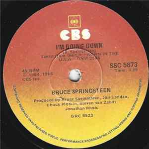 Bruce Springsteen - I'm Going Down mp3