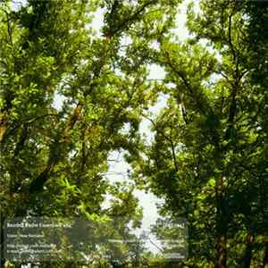 Various - Bezdna Radio Essentials 004 mp3