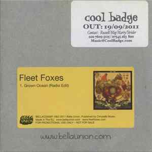 Fleet Foxes - Grown Ocean mp3