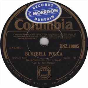 Gallowglass Ceili Band - Bluebell Polka / Veleta mp3