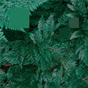Nebraska - Metaphor To The Floor EP mp3