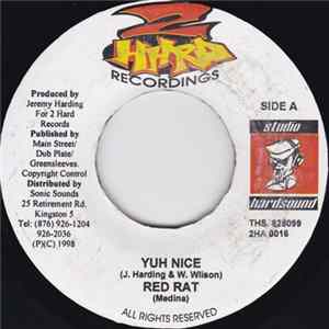 Red Rat / Chico - Yuh Nice / The Man Is Yours mp3